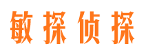 蚌山市私家侦探